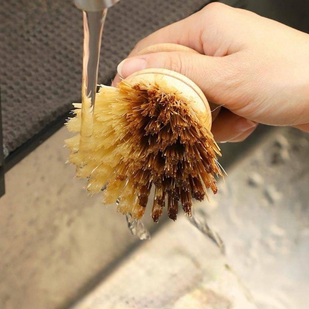 Balance.co Natural Oat & Sisal Cleaning Brush - Kitchen Pot Bowl Pan Scrub