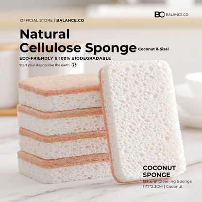 Balance.co Sisal & Coconut Cleaning Sponge