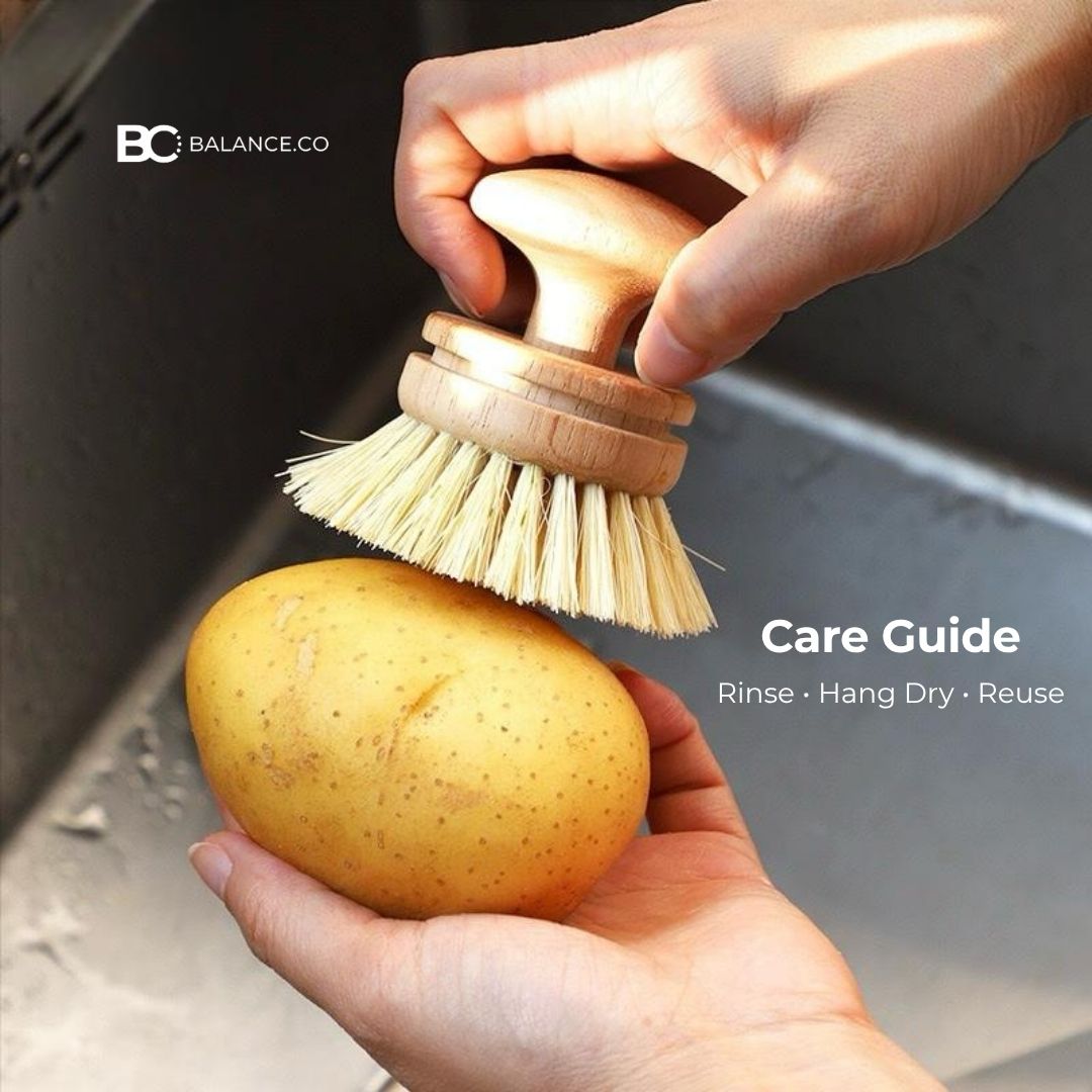 Balance.co Natural Oat & Sisal Cleaning Brush - Kitchen Pot Bowl Pan Scrub
