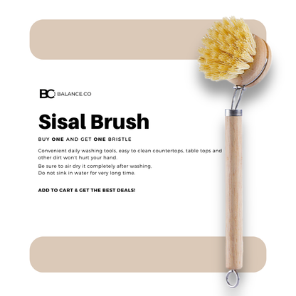 Balance.co Long Handle Kitchen Brush | Bamboo Handle & Sisal Bristles | Berus Dapur