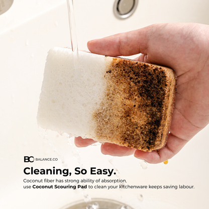 Balance.co Sisal & Coconut Cleaning Sponge