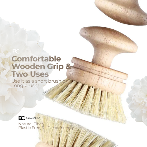 Balance.co Natural Oat & Sisal Cleaning Brush - Kitchen Pot Bowl Pan Scrub