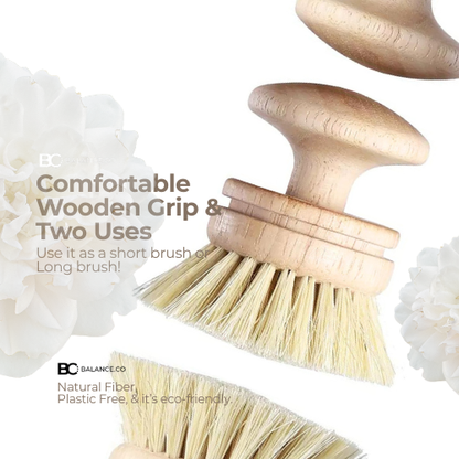 Balance.co Natural Oat & Sisal Cleaning Brush - Kitchen Pot Bowl Pan Scrub