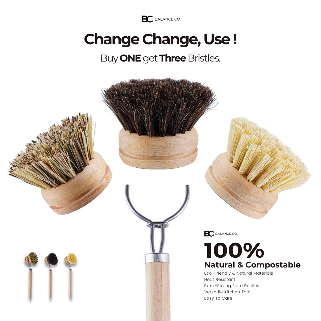 Balance.co Long Handle Kitchen Brush | Bamboo Handle & Sisal Bristles | Berus Dapur