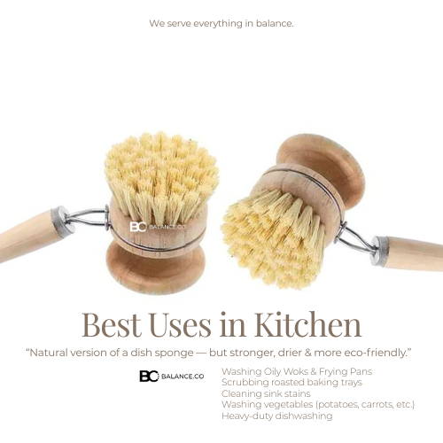 Balance.co Natural Oat & Sisal Cleaning Brush - Kitchen Pot Bowl Pan Scrub