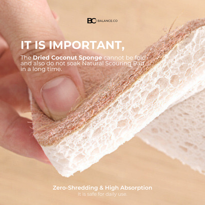 Balance.co Sisal & Coconut Cleaning Sponge