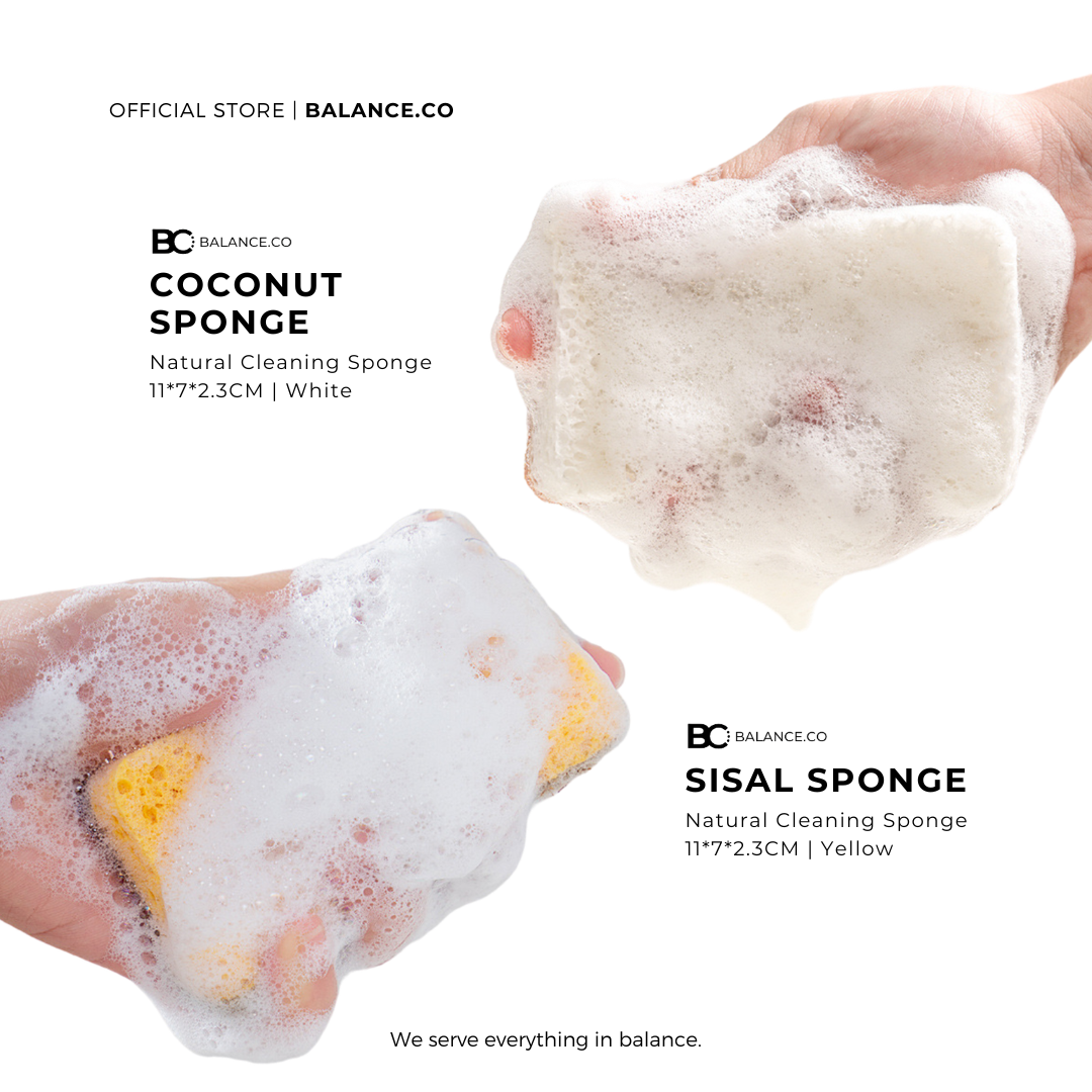 Balance.co Sisal & Coconut Cleaning Sponge