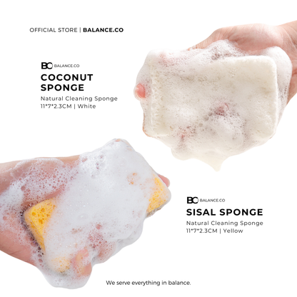 Balance.co Sisal & Coconut Cleaning Sponge