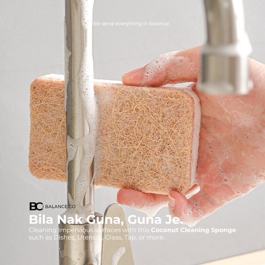 Balance.co Sisal & Coconut Cleaning Sponge